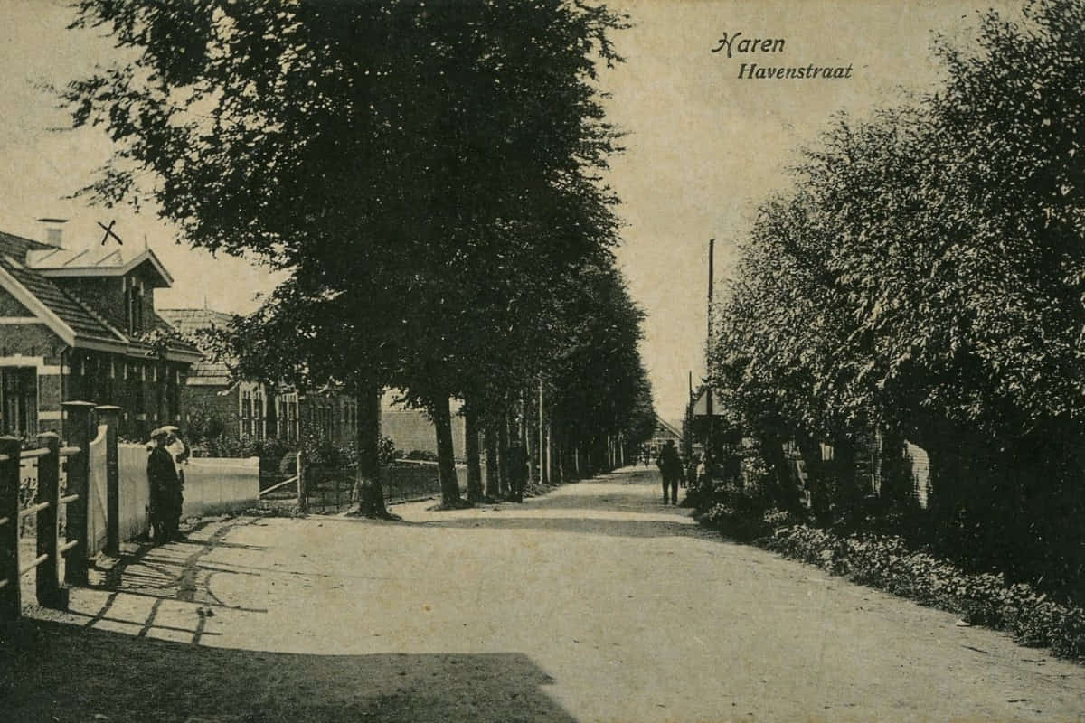 Groene Kruisgebouw Meerweg